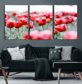 44554-MGV-CV-60X30-3P-Vibrant red tulips stand out beautifully against a black-and-white background, making a striking decor piece perfect for any home
