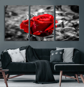 84671-MGV-CV-60X30-3P-Red Rose Wall Art – Vibrant Single Bloom Canvas Print with Black and White Background, Elegant Floral Decor for Living Room,