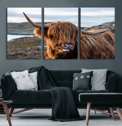 71222-MGV-CV-60X30-3P-A playful Highland cow with shaggy fur sticks out its tongue, set against a rugged landscape — perfect for quirky home or office