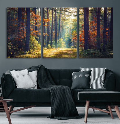 86249-MGV-CV-60X30-3P-Sunlit Autumn Forest Path Wall Art – Peaceful Nature Scene with Fall Foliage, Calming Woods Decor for Home or Office