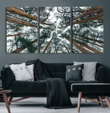 18790-MGV-CV-36X24-Pine Canopy Wall Art – Panoramic View of Towering Pines Canvas Print, Nature-Inspired Decor for Office, Cabin or Living Room