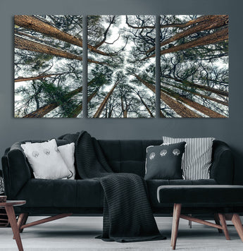 18790-MGV-CV-36X24-Pine Canopy Wall Art – Panoramic View of Towering Pines Canvas Print, Nature-Inspired Decor for Office, Cabin or Living Room