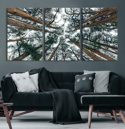 18790-MGV-CV-36X24-Pine Canopy Wall Art – Panoramic View of Towering Pines Canvas Print, Nature-Inspired Decor for Office, Cabin or Living Room
