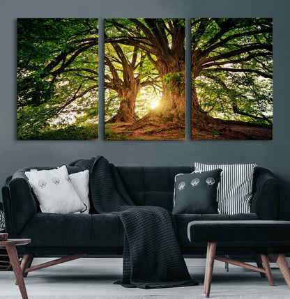 52150-MGV-CV-36X24-Majestic Tree Wall Art – Large Nature Canvas Print with Sunlight Through Branches, Rustic Forest Decor for Living Room, Bedroom or