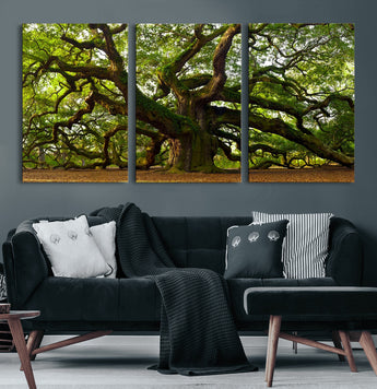 29407-MGV-CV-60X30-3P-Ancient Oak Tree Wall Art – Majestic Nature Canvas Print, Large Tree Photography Decor for Living Room or Office