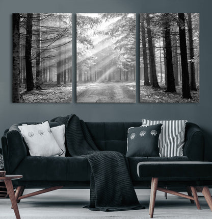 39665-MGV-CV-60X30-3P-Black and White Forest Path Wall Art – Sunlight Rays in Trees Canvas Print, Nature Landscape Decor for Living Room or Office