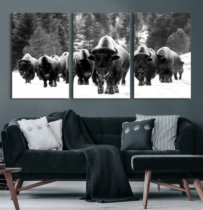 62434-MGV-CV-60X30-3P-Bison Herd Wall Art – Majestic Black and White Buffalo Canvas Print, Wildlife Nature Photography Decor for Living Room, Office or