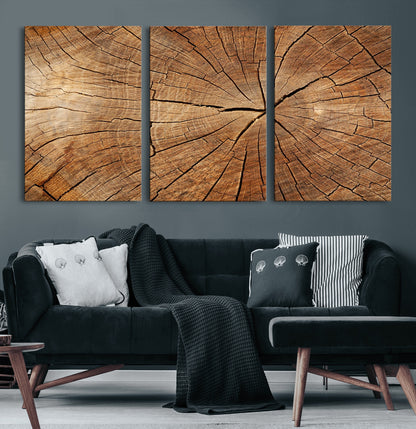 61710-MGV-CV-36X24-Tree Rings Wall Art – Rustic Wood Grain Canvas Print of Tree Trunk Cross Section, Nature Inspired Decor for Cabin, Office, Living