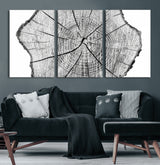 98709-MGV-CV-36X24-Tree Ring Wall Art – Black and White Canvas Print Rustic Wood Cross Section, Minimal Nature Inspired Decor for Living Room,
