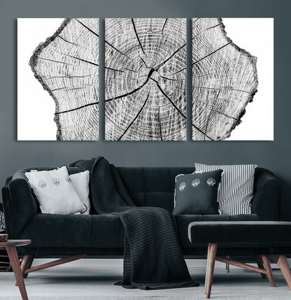 98709-MGV-CV-36X24-Tree Ring Wall Art – Black and White Canvas Print Rustic Wood Cross Section, Minimal Nature Inspired Decor for Living Room,