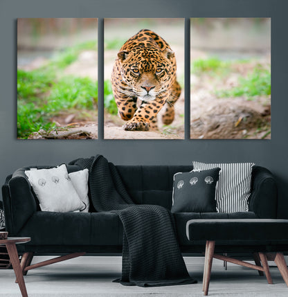 75066-MGV-CV-60X30-3P-Leopard Wall Art Canvas Print, Framed Wild Animal Art Picture Print, Blue Eye Leopard Perfect Wild Minimal Decor Artwork
