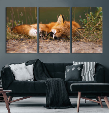 25085-MGV-CV-36X24-Sleeping Fox Wall Art Canvas Print, Framed Rustic Fox Art Picture Print, Wildlife Animal Perfect Rustic Farmhouse Decor Artwork