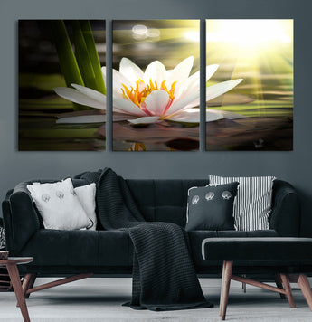 40478-MGV-CV-60X30-3P-Water Lily Wall Art – White Lotus Flower Canvas Print with Sunlight Reflection, Serene Botanical Artwork for Living Room, Bedroom,