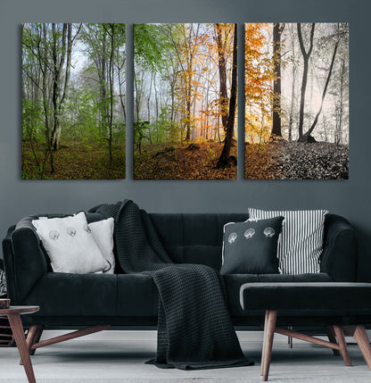 95317-MGV-CV-60X30-3P-Four Seasons Forest Wall Art – Panoramic Nature Canvas Print Showing Spring, Summer, Autumn and Winter Landscape for Living Room,