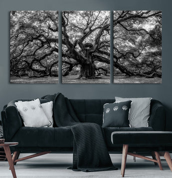 132944706-MGV-CV-60X30-3P-Ancient Tree Wall Art – Black and White Photography Canvas Print Featuring Majestic Twisting Branches, Rustic Nature Artwork for