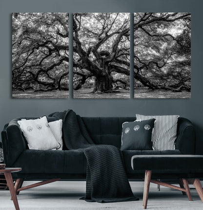 132944706-MGV-CV-60X30-3P-Ancient Tree Wall Art – Black and White Photography Canvas Print Featuring Majestic Twisting Branches, Rustic Nature Artwork for