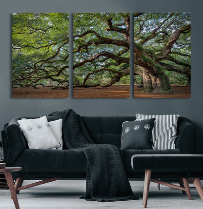 MGV-CV-60X30-3P - Historic Tree Wall Art Canvas Print, Framed Mossy Tree Art Picture Print, Twisted Branches Perfect Nature Southern Decor Artwork