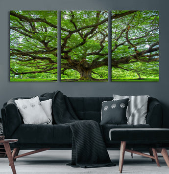 49375306-MGV-CV-60X30-3P-Ancient Tree Wall Art Canvas Print, Framed Sprawling Branches Art Picture Print, Gnarling Tree Perfect Earthy Natural Decor