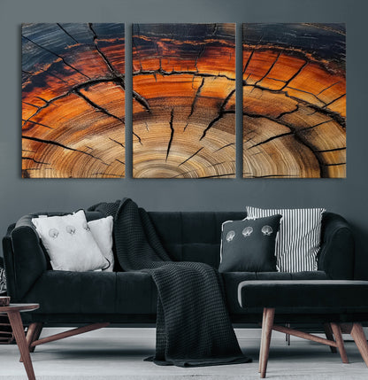 65909987-MGV-CV-60X30-3P-Rustic Tree Ring Wall Art – Nature Inspired Wooden Texture Canvas Print, Modern Abstract Artwork for Living Room, Bedroom, Office