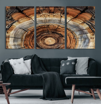 15184146-MGV-CV-36X24-Tree Rings Wall Art Canvas Print, Framed Wood Texture Art Picture Print, Rustic Pattern Perfect Rustic Organic Decor Artwork