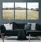 43258946-MGV-CV-36X24-Daisy Field Wall Art Canvas Print, Framed Pastel Flower Art Picture Print, Meadow Bloom Perfect Scandinavian Minimalist Decor