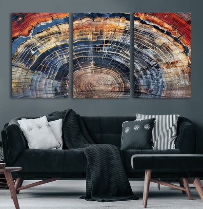 38987581-MGV-CV-60X30-3P-Tree Ring Art Wall Art Canvas Print, Framed Rustic Wall Decor Art Picture Print, Nature Grain Print Perfect Modern Rustic Decor
