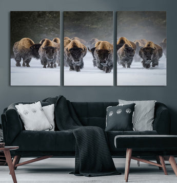 41669135-MGV-CV-60X30-3P-Bison Herd Scene Wall Art Canvas Print, Framed Rustic Wildlife Decor Art Picture Print, Snowy Bison Landscape Perfect Rustic