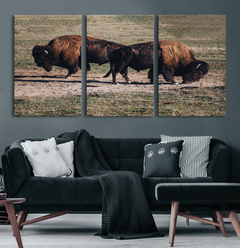 58141885-MGV-CV-60X30-3P-Bison Photography Wall Art Canvas Print, Framed Western Wildlife Art Picture Print, Modern Ranch Perfect Western Rustic Decor