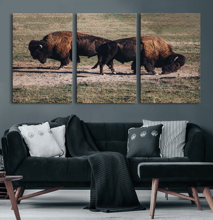 58141885-MGV-CV-60X30-3P-Bison Photography Wall Art Canvas Print, Framed Western Wildlife Art Picture Print, Modern Ranch Perfect Western Rustic Decor