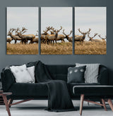 42170220-MGV-CV-60X30-3P-Elk Herd Wall Art Canvas Print, Framed Wildlife Photography Art Picture Print, Majestic Antlers Perfect Rustic Wildlife Decor