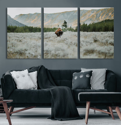 41674074-MGV-CV-60X30-3P-Bison Wall Art – American Buffalo Wildlife Photography Canvas Print, Western Mountain Landscape Artwork Rustic Nature Decor for