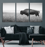 90861202-MGV-CV-60X30-3P-Black and White Bison Canvas Wall Art – Rustic American Buffalo Print, Western Wildlife Photography for Farmhouse, Cabin, Office