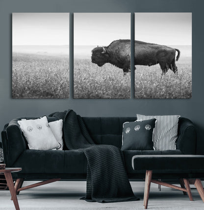 90861202-MGV-CV-60X30-3P-Black and White Bison Canvas Wall Art – Rustic American Buffalo Print, Western Wildlife Photography for Farmhouse, Cabin, Office