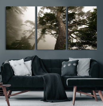 87969493-MGV-CV-60X30-3P-Forest Wall Art – Misty Tall Trees Canvas Print, Dramatic Woodland Photography Decor for Bedroom, Living Room, Office, Cabin,