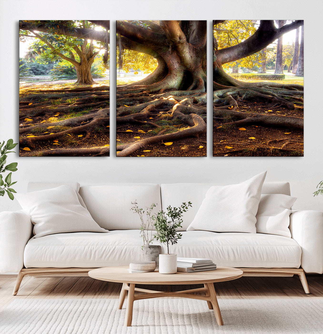 53335-MGV-CV-36X24-Majestic Tree with Sprawling Roots Wall Art – Serene Sunlit Park Scene, Nature Canvas Print, Perfect for Living Room, Office or