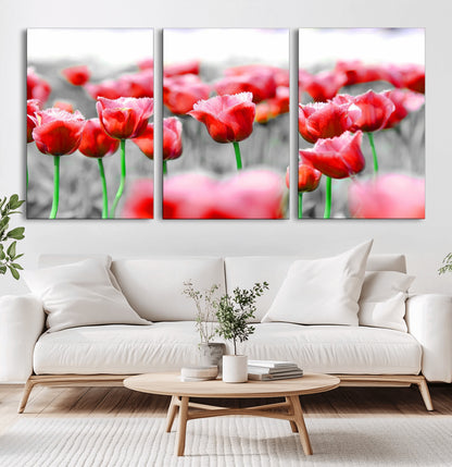44554-MGV-CV-36X24-Vibrant red tulips stand out beautifully against a black-and-white background, making a striking decor piece perfect for any home