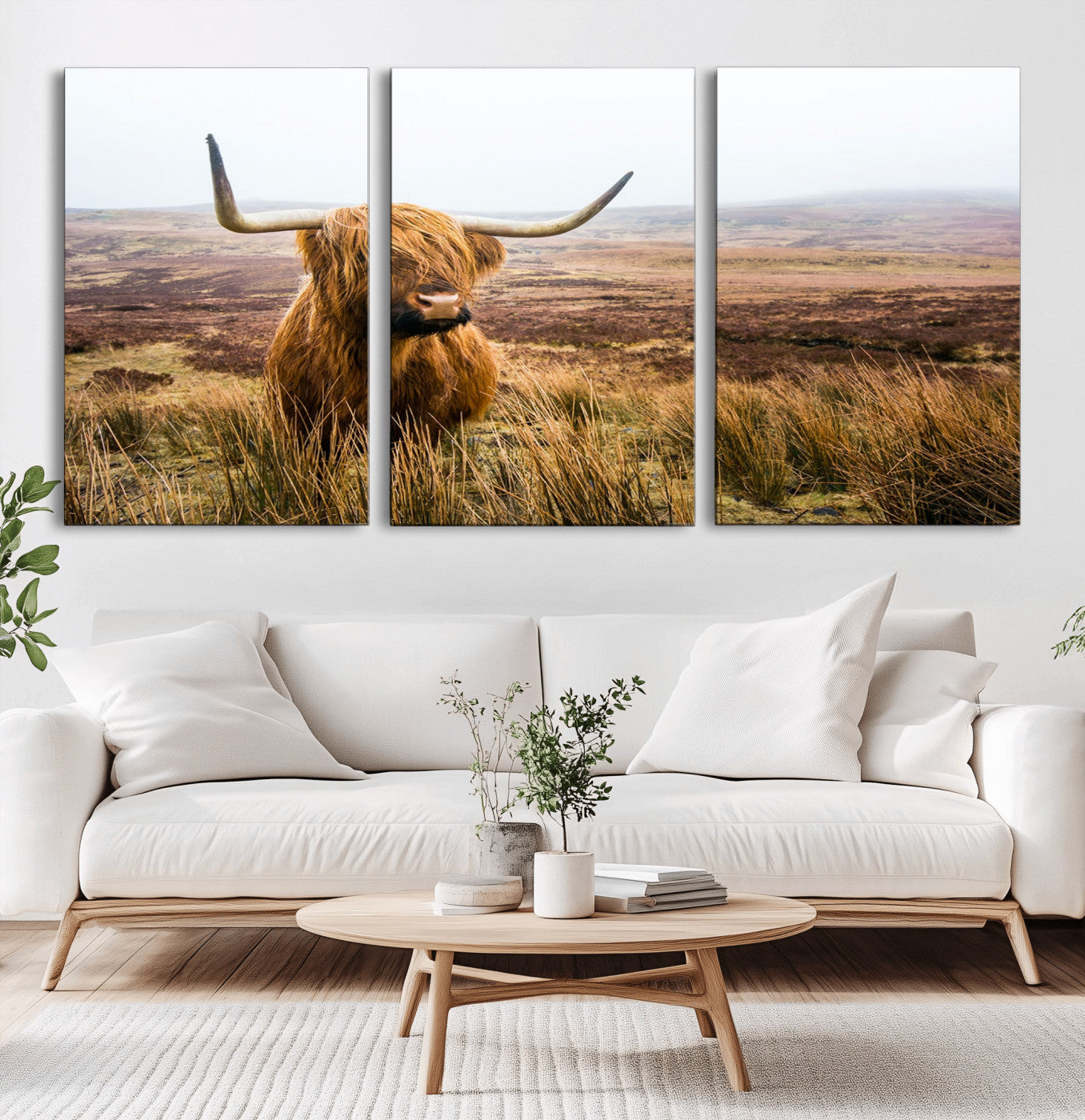79391-MGV-CV-36X24-Majestic Highland Cow in Misty Scottish Moorland – Rustic Natural Charm, Perfect for Unique Home or Office Decor