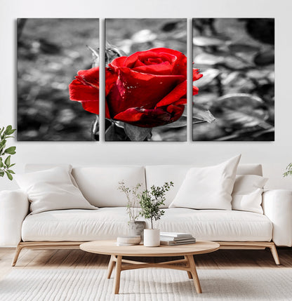 84671-MGV-CV-36X24-Red Rose Wall Art – Vibrant Single Bloom Canvas Print with Black and White Background, Elegant Floral Decor for Living Room,