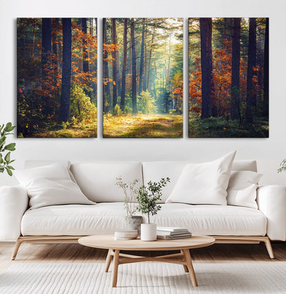 86249-MGV-CV-36X24-Sunlit Autumn Forest Path Wall Art – Peaceful Nature Scene with Fall Foliage, Calming Woods Decor for Home or Office