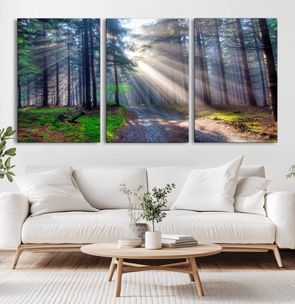 42047-MGV-CV-36X24-Sunlit Forest Path Wall Art – Nature Canvas Print, Serene Woodland Landscape, Perfect Home & Office Decor for Calm and Tranquil