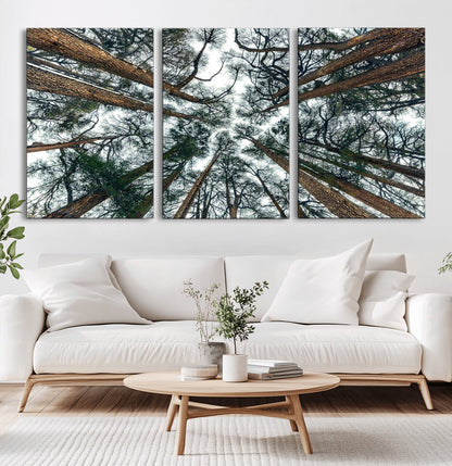 18790-MGV-CV-36X24-Pine Canopy Wall Art – Panoramic View of Towering Pines Canvas Print, Nature-Inspired Decor for Office, Cabin or Living Room