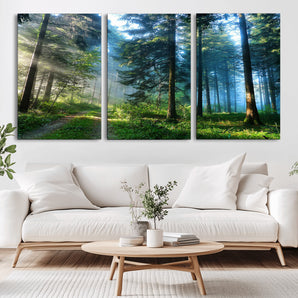 24634-MGV-CV-36X24-Mystic Forest Path Wall Art – Panoramic Morning Light Forest Canvas Print, Tranquil Nature Decor for Office, Living Room or