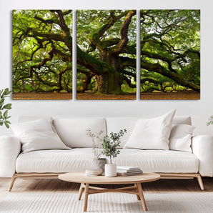 29407-MGV-CV-36X24-Ancient Oak Tree Wall Art – Majestic Nature Canvas Print, Large Tree Photography Decor for Living Room or Office