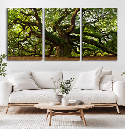 29407-MGV-CV-36X24-Ancient Oak Tree Wall Art – Majestic Nature Canvas Print, Large Tree Photography Decor for Living Room or Office