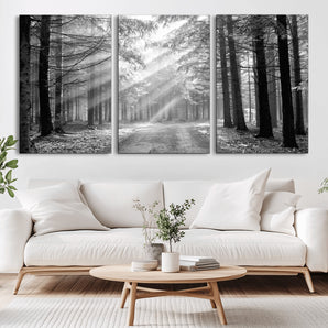 39665-MGV-CV-36X24-Black and White Forest Path Wall Art – Sunlight Rays in Trees Canvas Print, Nature Landscape Decor for Living Room or Office