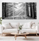 39665-MGV-CV-36X24-Black and White Forest Path Wall Art – Sunlight Rays in Trees Canvas Print, Nature Landscape Decor for Living Room or Office