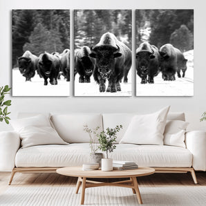 62434-MGV-CV-36X24-Bison Herd Wall Art – Majestic Black and White Buffalo Canvas Print, Wildlife Nature Photography Decor for Living Room, Office or