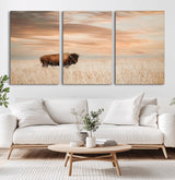 99699-MGV-CV-60X30-3P-Bison in Prairie at Sunset – Wildlife Photography Print, American Buffalo Wall Art, Nature Landscape Canvas Decor for Office