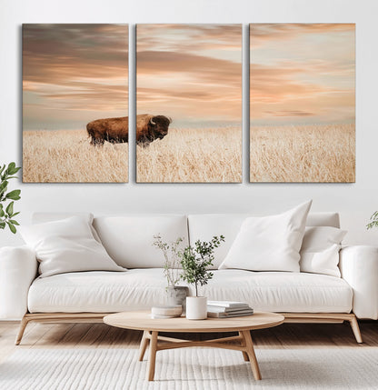 99699-MGV-CV-60X30-3P-Bison in Prairie at Sunset – Wildlife Photography Print, American Buffalo Wall Art, Nature Landscape Canvas Decor for Office