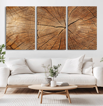 61710-MGV-CV-60X30-3P-Tree Rings Wall Art – Rustic Wood Grain Canvas Print of Tree Trunk Cross Section, Nature Inspired Decor for Cabin, Office, Living